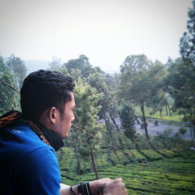 Lagi dalam proses mengandung: