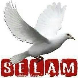 tekleabmehari's profile picture. 