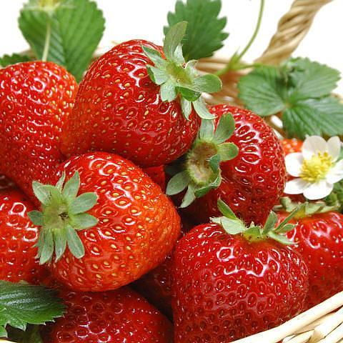 #FollowBack #followback #RuFollowBack #Взаимный_Фолловинг