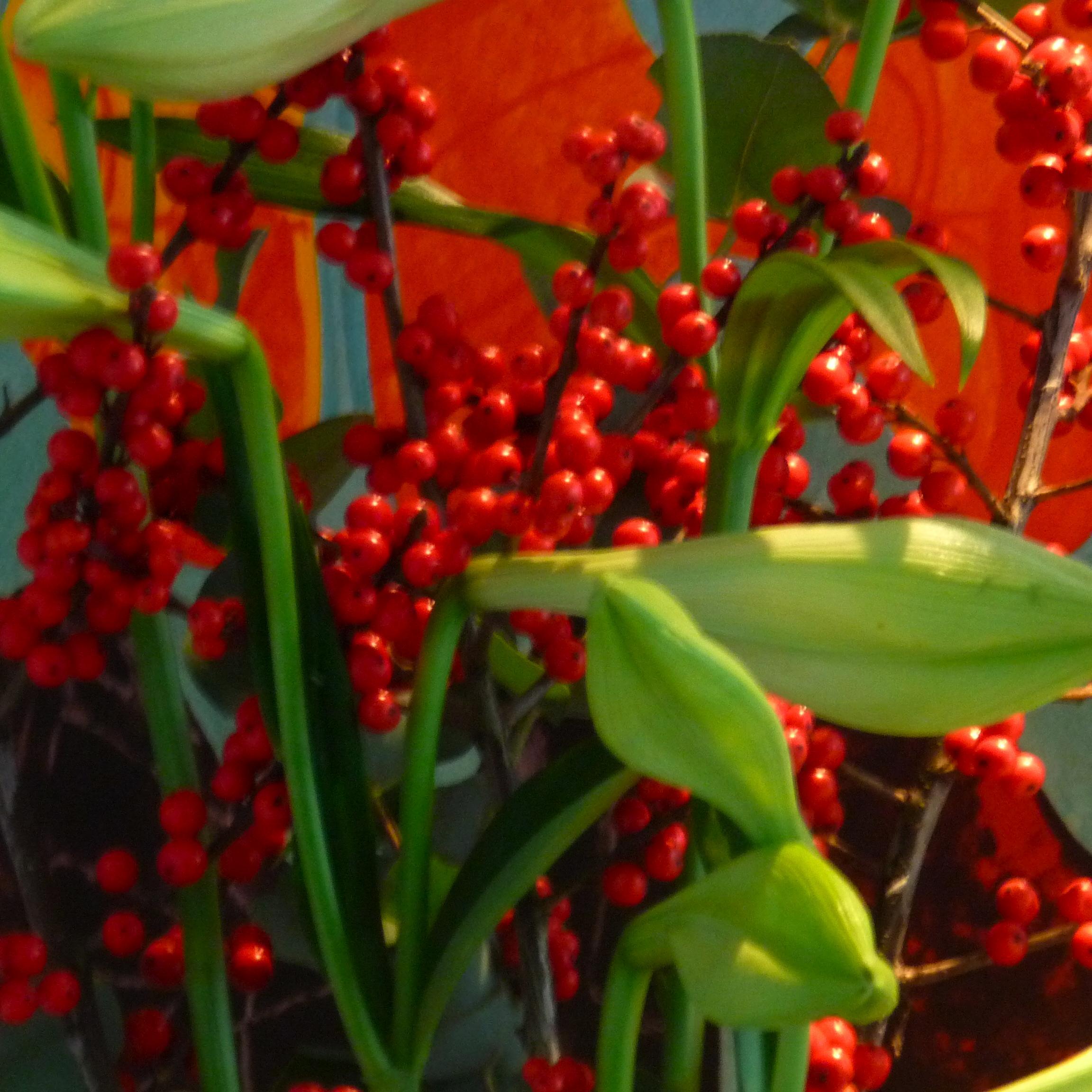 Yenni72217542's profile picture. 