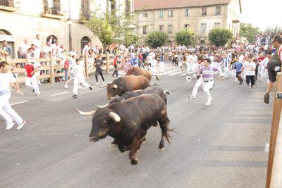 carechebar's profile picture. 