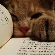 Bookworm. Writter. Love travelling.