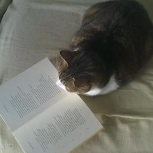 Escritora de fantasía y ciencia ficción. Autora de 