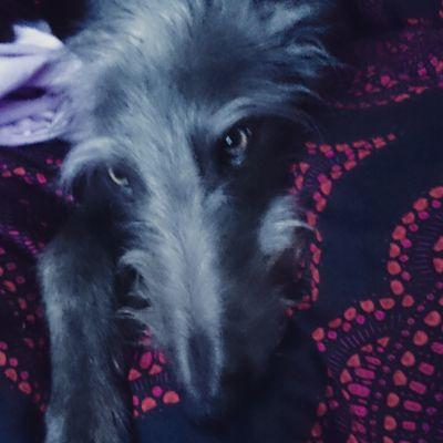 emrmchugh's profile picture. 