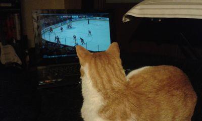 MrJack1988's profile picture. Heavy Metal maniac, Ice Hockey enthusiastic, Detroit Red Wings fanatic, Harley-Davidson lover and proud partner of Metallica's fight for world domination.