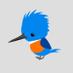 Tang Hall Kingfishers (@th_year6) Twitter profile photo