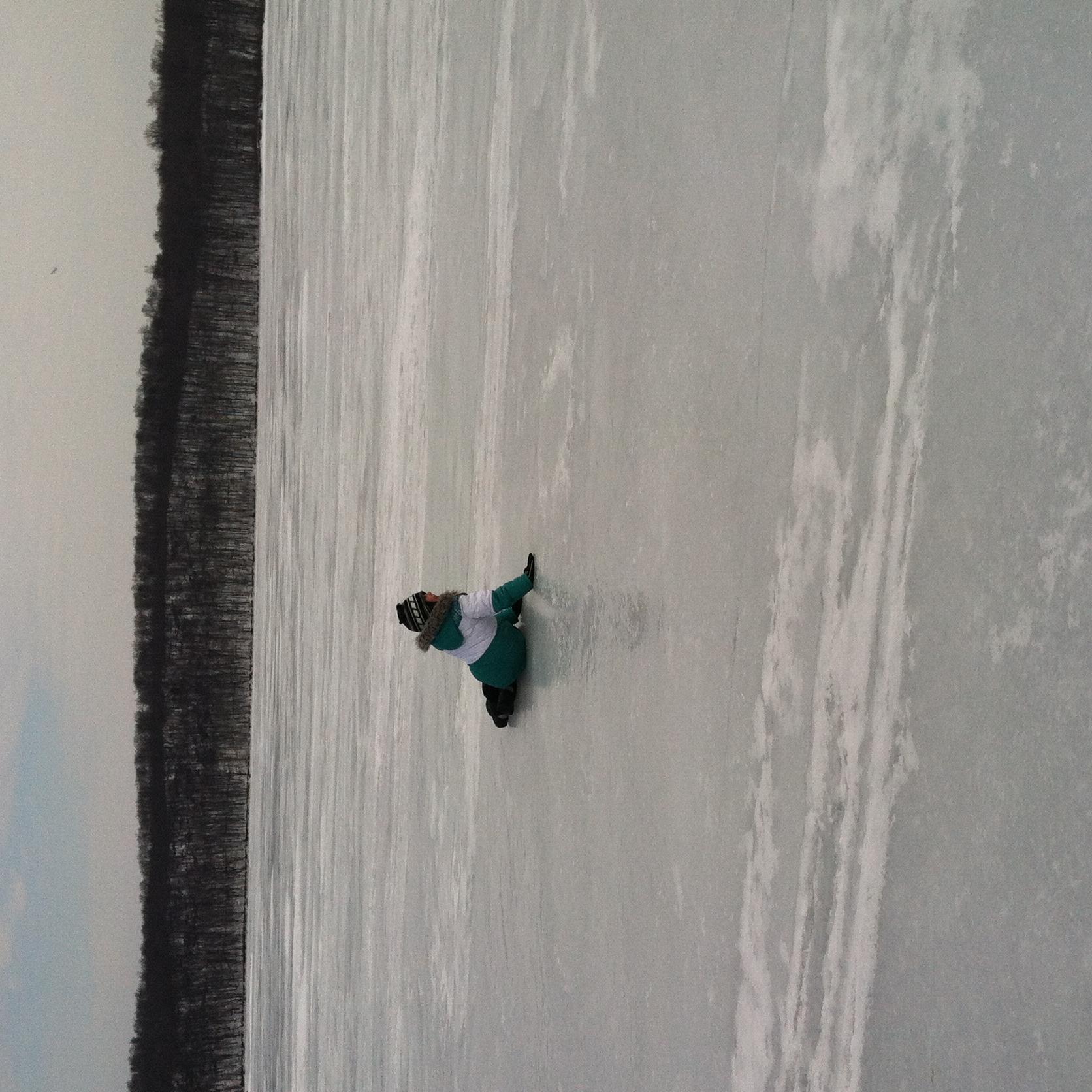 rosemaryscot1's profile picture. 