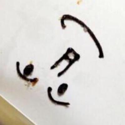 リム、ブロご自由にさんのプロフィール画像