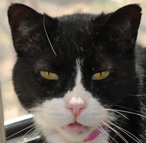 athenos_'s profile picture. Science & Tech Enthusiast