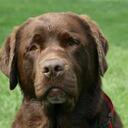 Amanda Edmonds - @AmandaEd22 - Twitter