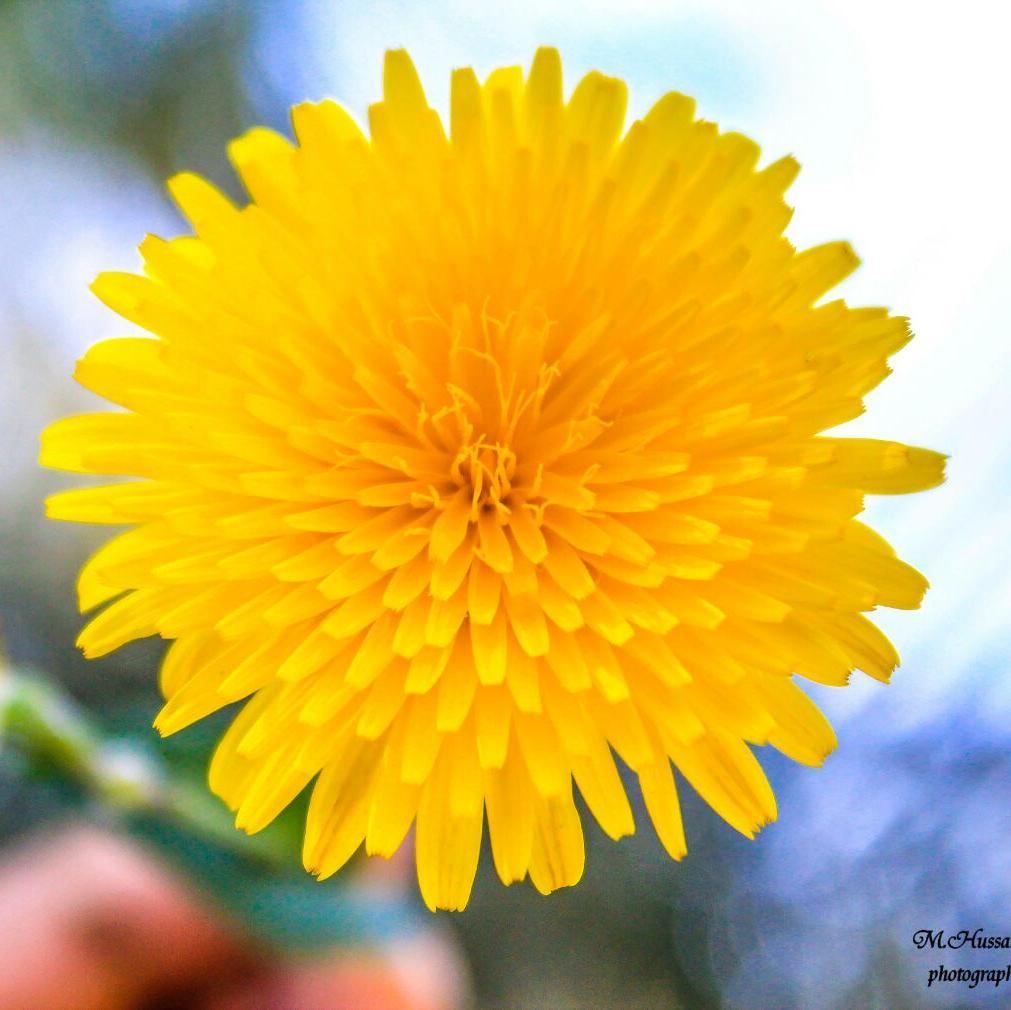 BETTO_AND_MONY's profile picture. لآ صَآرت آلدنيآ محطآت ودروبَ اللّهَ يسهل لنآ دروبَ آلسَعآدههہ ، مآدآمَ حد آلعمَر وآلرزق مكتوبَ يَ اللّه ترزقنـآ بحُسن آلعبآدههہ ♡'