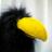 Daytle's profile image