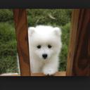 dena cain - @cain_dena - Twitter