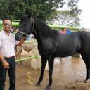 David balza - @davidbalza - Twitter