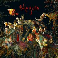 polygorn (@polygorn) 's Twitter Profile