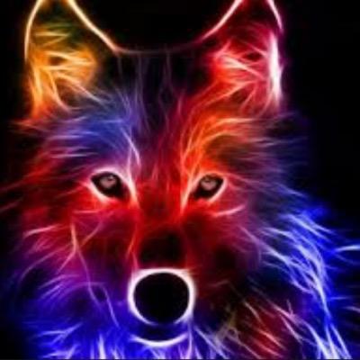 NickTaags's profile picture. 