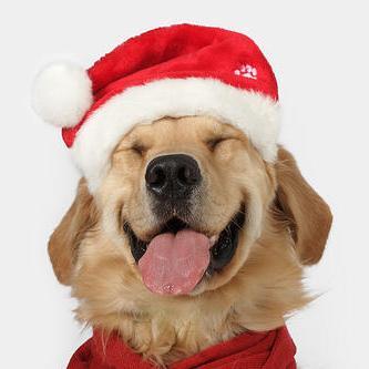 ssejhill's profile picture. @keeptothefacts.bsky.social
Minimally tweeting ... errrr ... posting on Xitter (X pronounced as “Sh”)