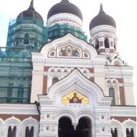 Jennifer Amis (@amisjennifer) 's Twitter Profile