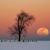 Benjammin (@beandbr) 's Twitter Profile