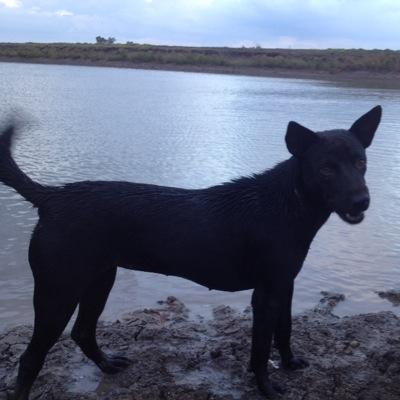 ChaZomm1's profile picture. 