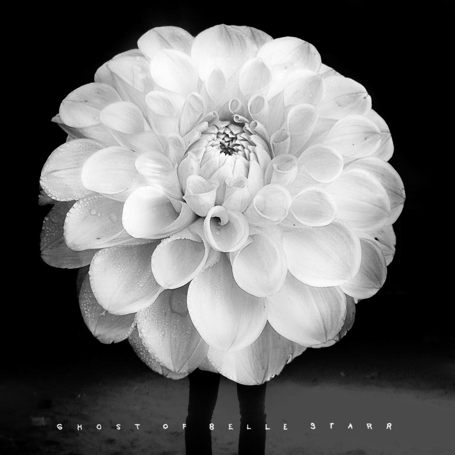 ghostbellestarr's profile picture. Indie rock band from Aarhus/Denmark currently working on debut album. Listen on Spotify: http://t.co/xkEZpTbVNF.