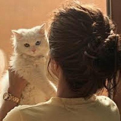 7zn23713480's profile picture. سبحانك ربي وبحمدك استغفر ربك ١٠مرات اذا لم تجدوني@Kings3660