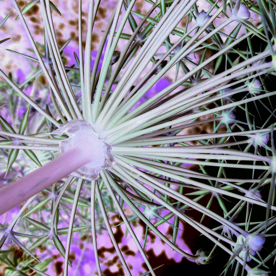 LimjiUk's profile picture. Working together to find great solutions which keep it simple and make it easy. Sustainable Consulting - working for you!