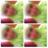 nadya_tessa's profile image