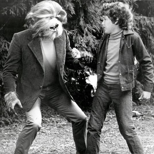 stevengarbas's profile picture. sea salt killed the table salt star.