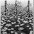 Hans_Martens's profile image