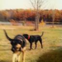 Sammy said so - @sadlad222 - Twitter