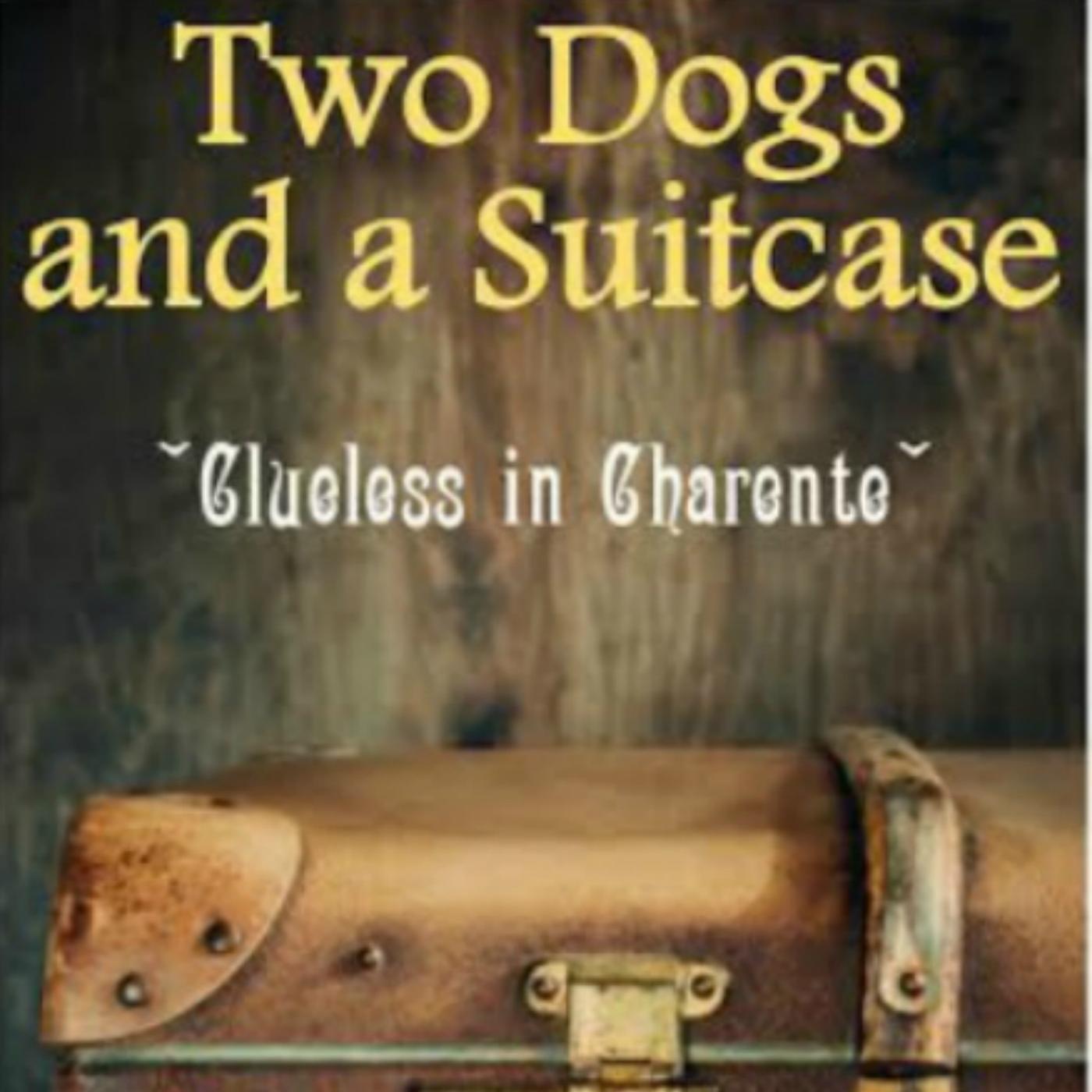 Official Twitter account for Two Dogs and A Suitcase - travel memoir and sequel to Glass Half Full: Our Australian Adventure by Author Sarah Jane Butfield #RPBP