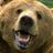 dothebeardance's profile image