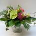 Blumen Creativ (@blumencreativ) Twitter profile photo