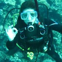 Dr. Alexandra Steckbauer (@steckbauera) 's Twitter Profile