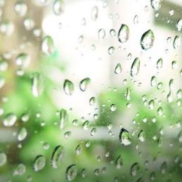 macaldeleon2's profile picture. 