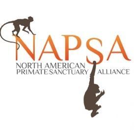 NAPSA unites the primate sanctuary community, builds capacity to provide sanctuary for captive nonhuman primates, & advocates to eliminate primate exploitation.