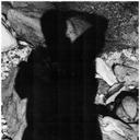 PeterNick.Voss - @PeterNickVoss - Twitter