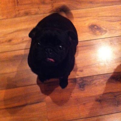 Home86Patrica's profile picture. 