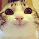 Brennan Collins - @Captain_Kitten_ - Twitter