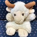 Melissa Theis - @mtheisvt - Twitter