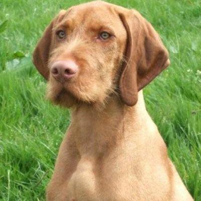 19Ashworth's profile picture. Canadian actor and a musician .