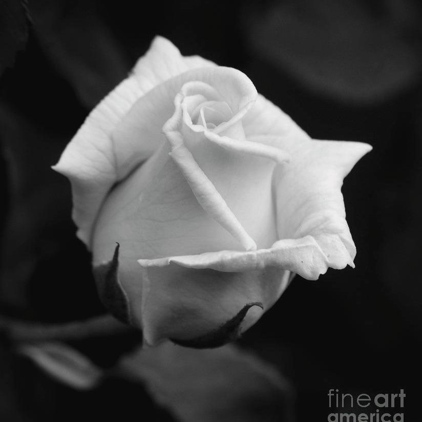 DJGARY86's profile picture. 