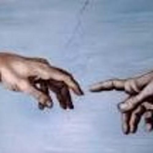 piemme_dev's profile picture. 