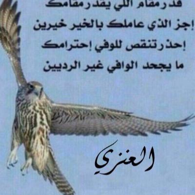 شاعر نظم وعشق فن المحاوره