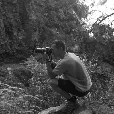 Iosui's profile picture. 