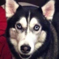 Glenn A (@glennadelson13) 's Twitter Profile