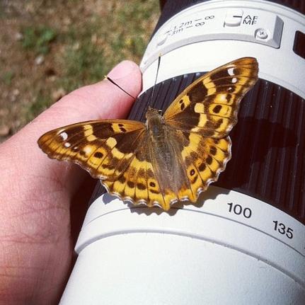 kvaezo's profile picture. Frontend developer and photo maniac