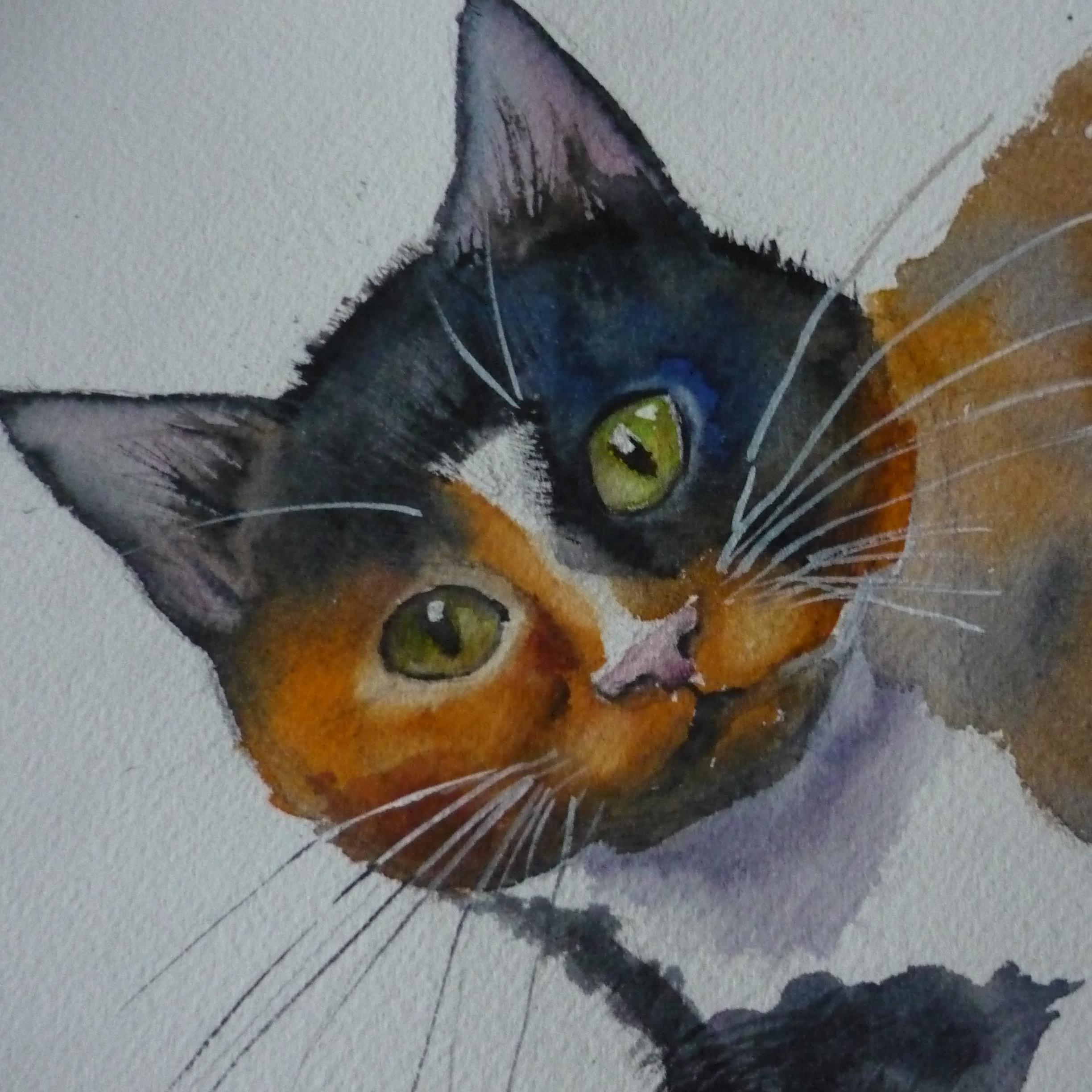 I paint pet portraits, landscapes and still life. I am also a printmaker. I love cats and they crop up in my work. A lot.