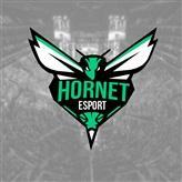 Structure since 2K15/ multigaming X1/PS4/PS3/X360 et PC. Roster #ON Staff #ON MAIL: esporthornet@gmail.com